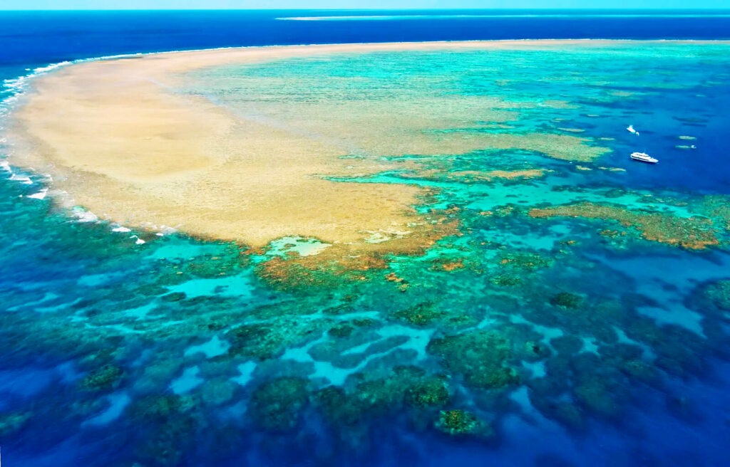 The Great Barrier Reef